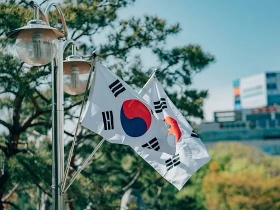 South Korea flags. Exporting to South Korea: what you need to know | Shipping Solutions