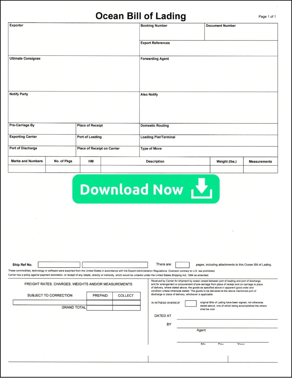 Ocean Bill of Lading | Download Now