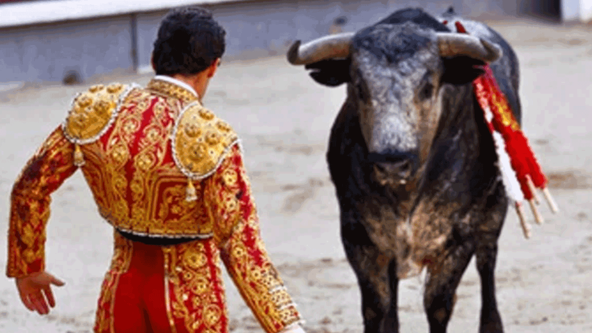 No Bull: Export Compliance Means Watching for Red Flags